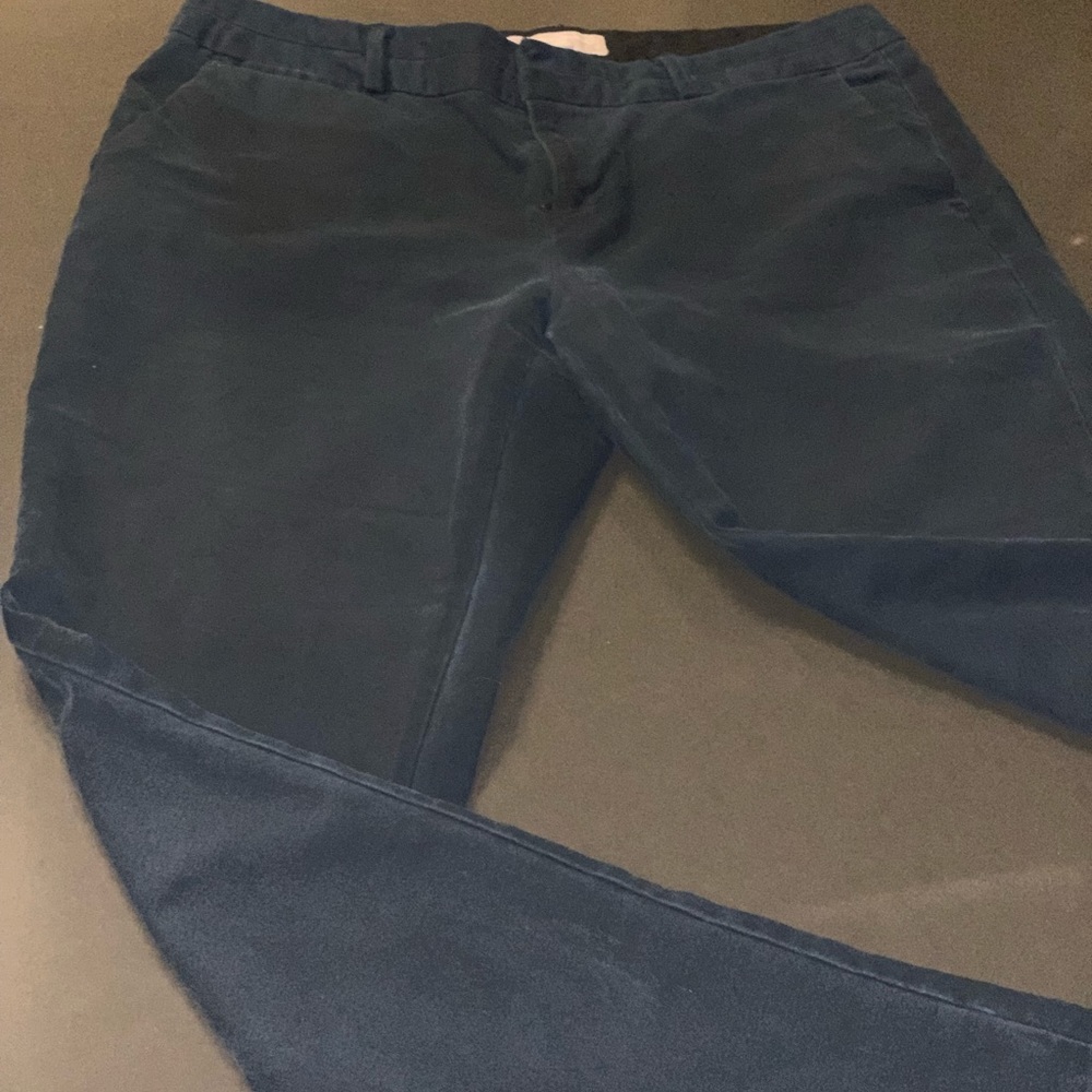 Navy blue Banana Republic pants